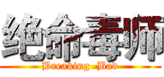 绝命毒师 (Breaking  Bad)