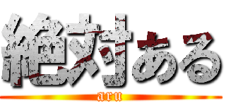 絶対ある (aru)