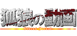 狐狼の動画 (Videos Jackal)