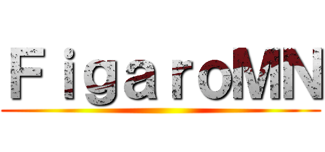 ＦｉｇａｒｏＭＮ ()