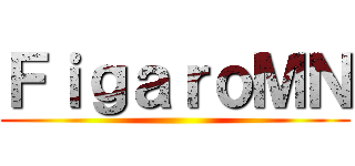 ＦｉｇａｒｏＭＮ ()
