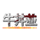 牛丼並 (beef ball medium)