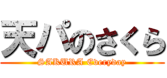 天パのさくら (SAKURA Everyday)