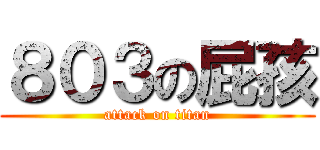 ８０３の屁孩 (attack on titan)