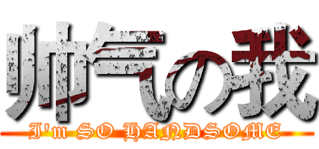 帅气の我 (I'm SO HANDSOME)