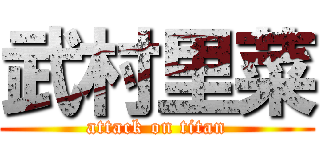 武村里菜 (attack on titan)