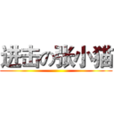 进击の张小猫 ()