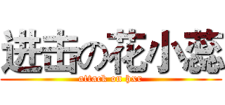 进击の花小蕊 (attack on hxr)