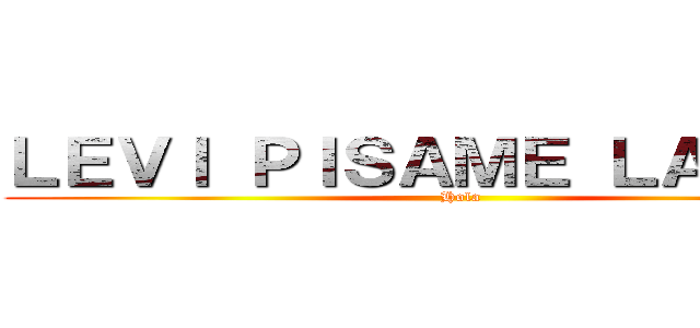 ＬＥＶＩ ＰＩＳＡＭＥ ＬＡ ＣＡＲ (Hola)