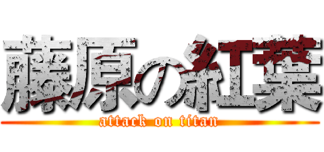 藤原の紅葉 (attack on titan)