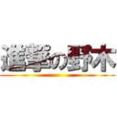 進撃の野木 ()