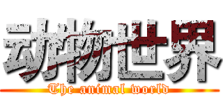 动物世界 (The animal world)