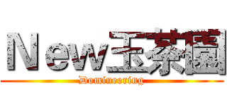 Ｎｅｗ玉茶園 (Domineering)