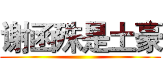 谢函殊是土豪 ()