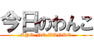 今日のわんこ (KYO-NO WANKO)