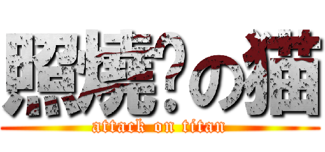 照燒你の猫 (attack on titan)