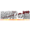 照燒你の猫 (attack on titan)