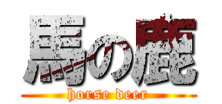 馬の鹿 (horse deer)