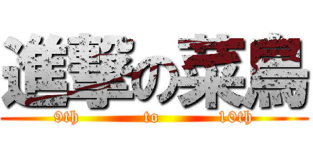 進撃の菜鳥 (9th           to          10th)