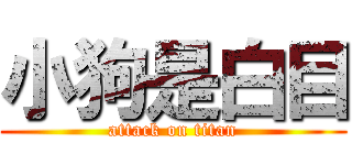 小狗是白目 (attack on titan)
