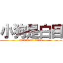 小狗是白目 (attack on titan)