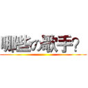 哪些の歌手？ ()