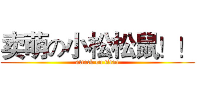 卖萌の小松松鼠！！ (attack on titan)