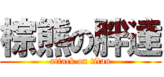 棕熊の胖達 (attack on titan)