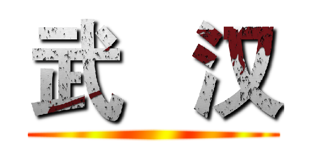 武   汉 ()