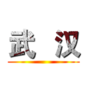武   汉 ()