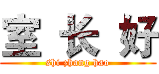 室  长  好 (shi zhang hao)