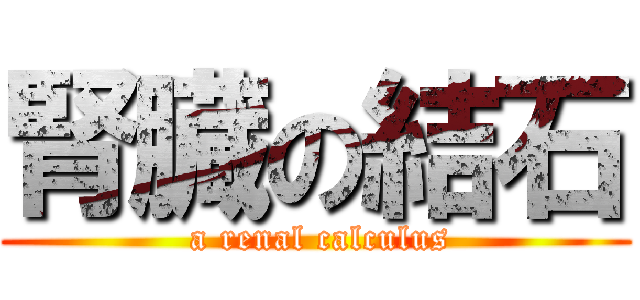腎臓の結石 ( a renal calculus)