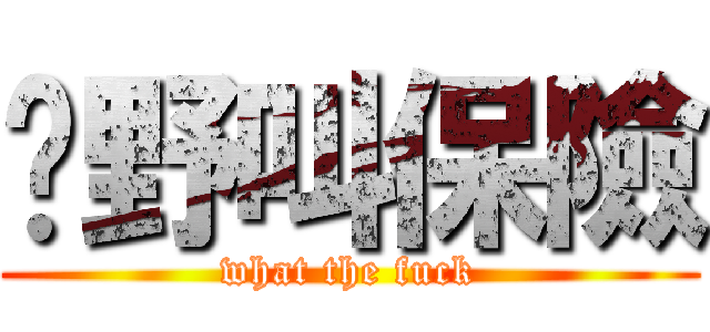 乜野叫保險 (what the fuck)
