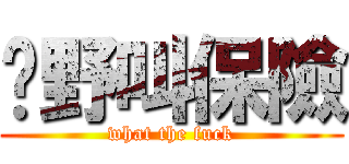 乜野叫保險 (what the fuck)