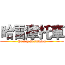 哈雷摩托車 (Harley Davidson)