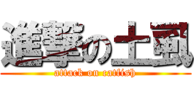 進撃の土虱 (attack on catfish)