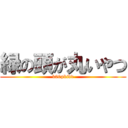 緑の頭が丸いやつ (k00pkidd)