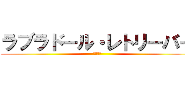 ラブラドール・レトリーバー (いぬごや)