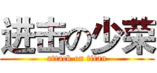 进击の少荣 (attack on titan)