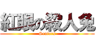 紅眼の殺人兔 (Seniors)