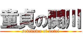童貞の関川 (sekikawa of dotei)