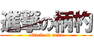 進撃の柄杓 (attack on ruka)