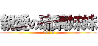 親愛の琉璃妹妹 ( ZECT)