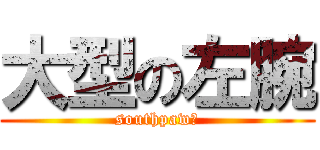 大型の左腕 (southpawあ)