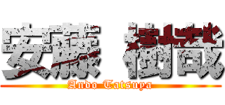 安藤 樹哉 (Ando Tatsuya)