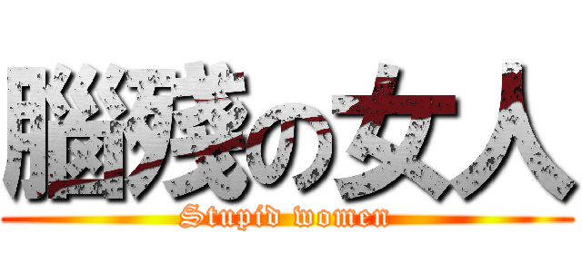 腦殘の女人 (Stupid women)