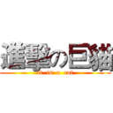 進擊の巨貓 (it  is  a  cat)