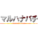 マルハナバチ (Genus Bombus)