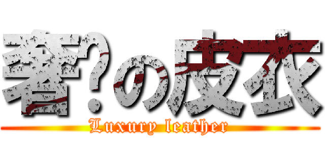 奢华の皮衣 (Luxury leather)