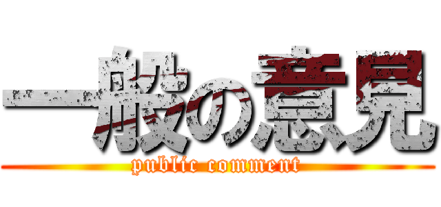 一般の意見 (public comment)